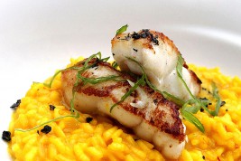Safran-Risotto